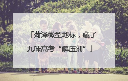 菏泽微型地标，藏了九味高考“解压剂”