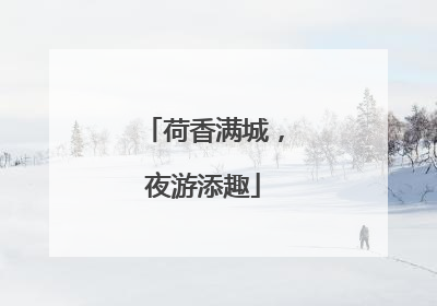 荷香满城，夜游添趣