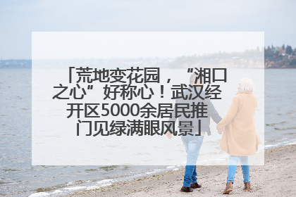 荒地变花园，“湘口之心”好称心！武汉经开区5000余居民推门见绿满眼风景