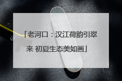 老河口：汉江荷韵引翠来 初夏生态美如画