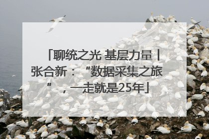 聊统之光 基层力量丨张合新：“数据采集之旅”，一走就是25年
