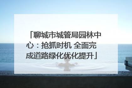 聊城市城管局园林中心：抢抓时机 全面完成道路绿化优化提升