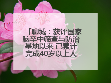 聊城：获评国家脑卒中筛查与防治基地以来 已累计完成40岁以上人群筛查干预40余万人次