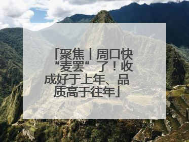 聚焦丨周口快“麦罢”了！收成好于上年、品质高于往年