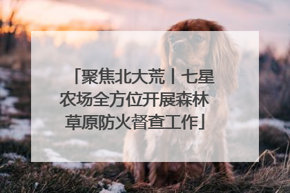 聚焦北大荒丨七星农场全方位开展森林草原防火督查工作