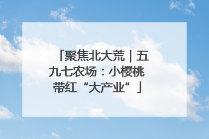 聚焦北大荒｜五九七农场：小樱桃带红“大产业”