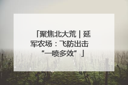 聚焦北大荒｜延军农场：飞防出击 “一喷多效”