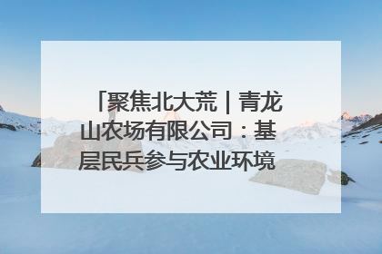 聚焦北大荒｜青龙山农场有限公司：基层民兵参与农业环境综合治理显效