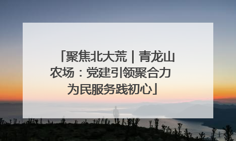 聚焦北大荒｜青龙山农场：党建引领聚合力 为民服务践初心
