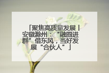 聚焦高质量发展丨安徽滁州：“融圈进群”借东风，当好发展“合伙人”