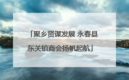 聚乡贤谋发展 永春县东关镇商会扬帆起航