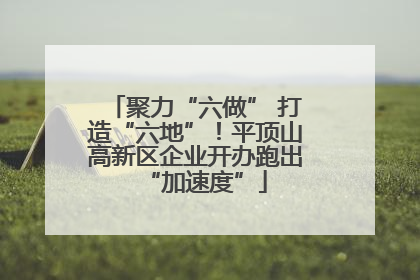 聚力“六做” 打造“六地”！平顶山高新区企业开办跑出“加速度”