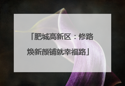 肥城高新区：修路焕新颜铺就幸福路