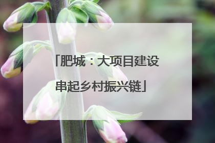肥城：大项目建设串起乡村振兴链