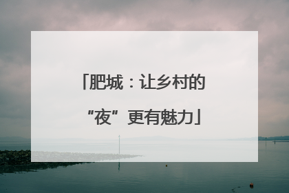 肥城：让乡村的“夜”更有魅力