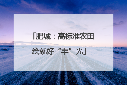 肥城：高标准农田绘就好“丰”光