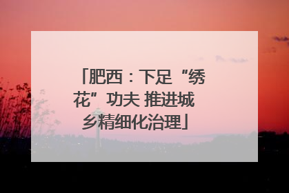 肥西：下足“绣花”功夫 推进城乡精细化治理