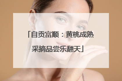 自贡富顺：黄桃成熟 采摘品尝乐翻天