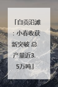 自贡沿滩：小春收获新突破 总产量近3.5万吨