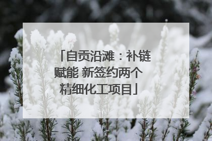 自贡沿滩：补链赋能 新签约两个精细化工项目