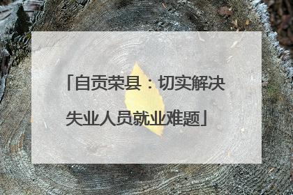 自贡荣县：切实解决失业人员就业难题