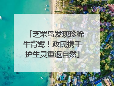 芝罘岛发现珍稀牛背鹭！政民携手护生灵重返自然