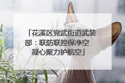 花溪区党武街道武装部：联防联控保净空 凝心聚力护航空