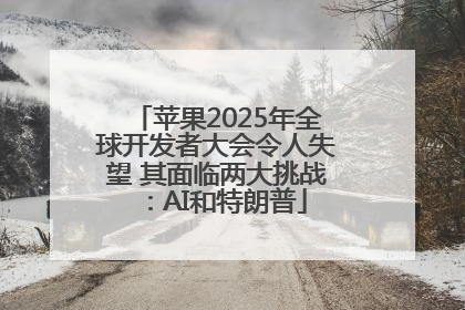 苹果2025年全球开发者大会令人失望 其面临两大挑战：AI和特朗普