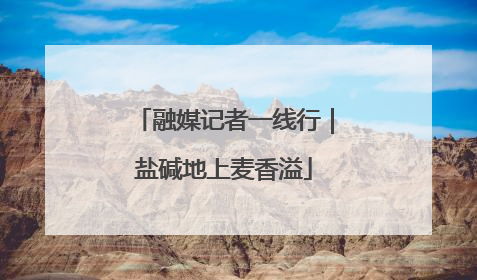 融媒记者一线行｜盐碱地上麦香溢