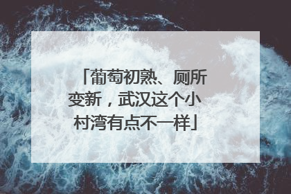葡萄初熟、厕所变新，武汉这个小村湾有点不一样
