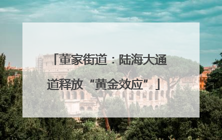 董家街道：陆海大通道释放“黄金效应”