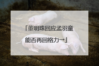 董明珠回应孟羽童能否再回格力→