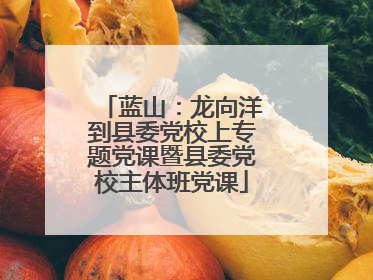 蓝山：龙向洋到县委党校上专题党课暨县委党校主体班党课