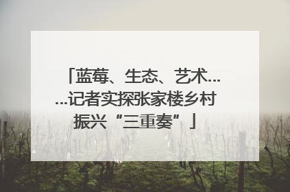 蓝莓、生态、艺术……记者实探张家楼乡村振兴“三重奏”