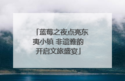 蓝莓之夜点亮东夷小镇 非遗雅韵开启文旅盛宴