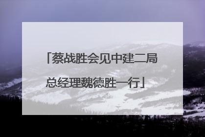 蔡战胜会见中建二局总经理魏德胜一行