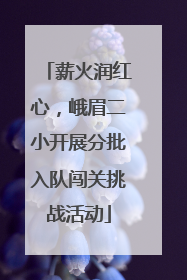 薪火润红心，峨眉二小开展分批入队闯关挑战活动