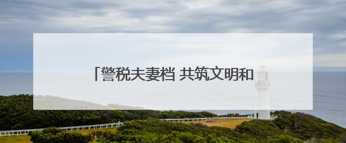 警税夫妻档 共筑文明和谐家风——记第三届全国文明家庭王娜、朱兆鹏家庭
