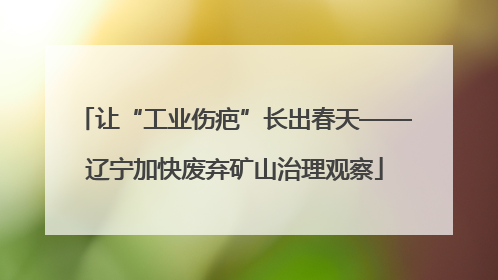 让“工业伤疤”长出春天——辽宁加快废弃矿山治理观察