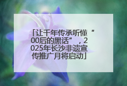 让千年传承听懂“00后的黑话”，2025年长沙非遗宣传推广月将启动