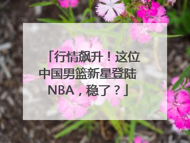 行情飙升！这位中国男篮新星登陆NBA，稳了？