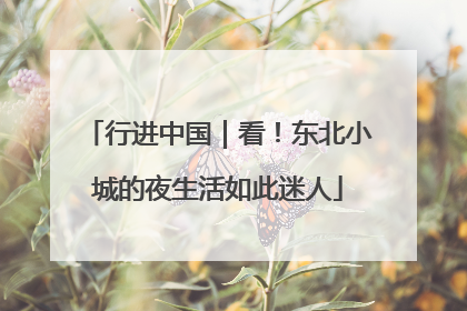 行进中国｜看！东北小城的夜生活如此迷人