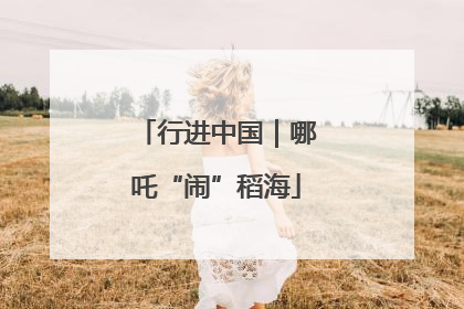 行进中国｜哪吒“闹”稻海