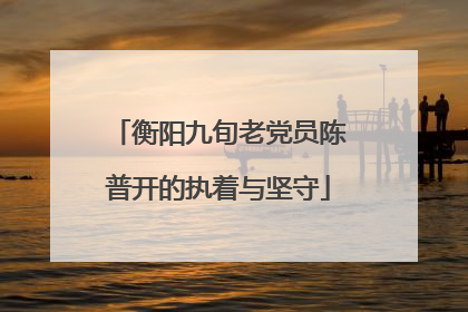 衡阳九旬老党员陈普开的执着与坚守