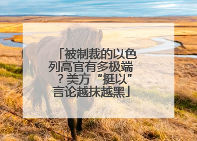 被制裁的以色列高官有多极端？美方“挺以”言论越抹越黑
