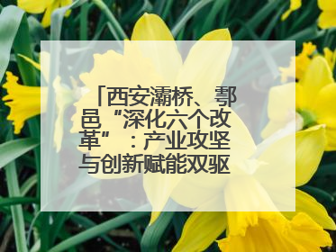 西安灞桥、鄠邑“深化六个改革”：产业攻坚与创新赋能双驱高质量发展