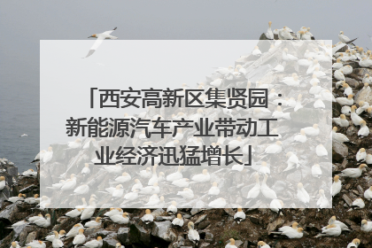 西安高新区集贤园：新能源汽车产业带动工业经济迅猛增长