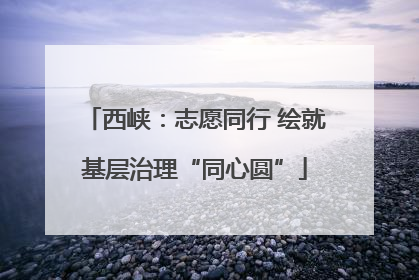 西峡：志愿同行 绘就基层治理“同心圆”