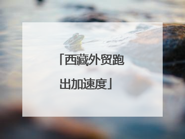西藏外贸跑出加速度