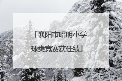 襄阳市昭明小学球类竞赛获佳绩
